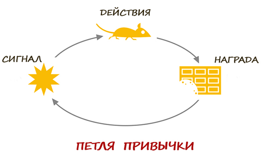 2-5-petlya.png