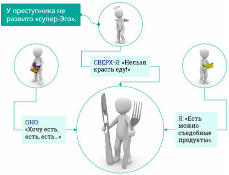 2-6-freid.png