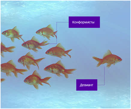 2-6-otkl-2.png