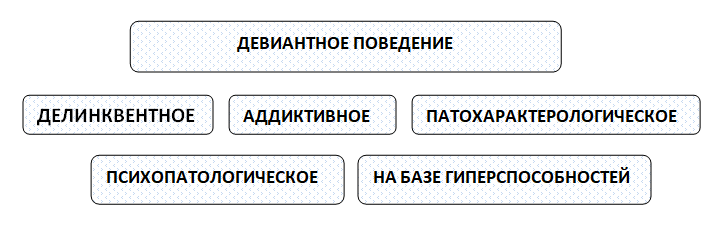 2-6-vidi-2.png