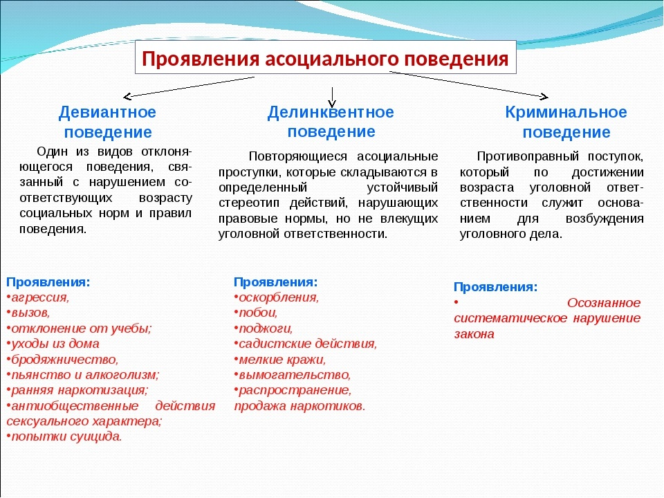 2-6-vidi.png